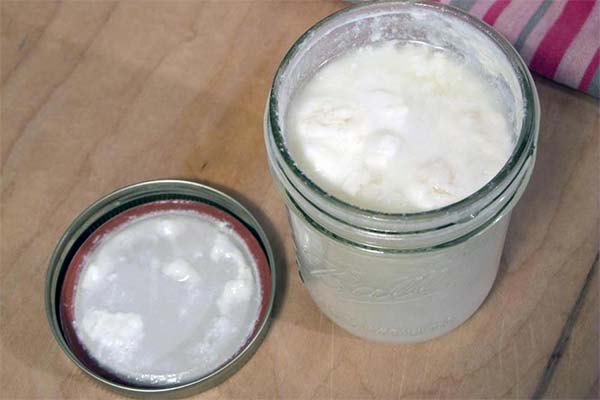 Semne de kefir contaminat