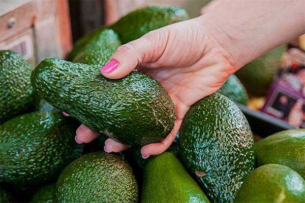 Cum să alegeți avocado proaspăt atunci când le cumpărați