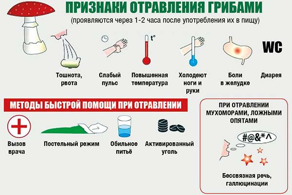 Symptoms of mushroom poisoning