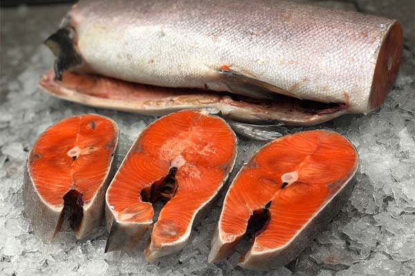 Kādam nolūkam ir derīgs Chinook lasis?