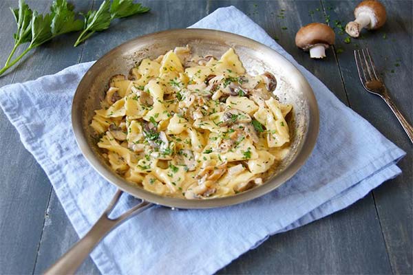 Pasta farfalle with mushrooms