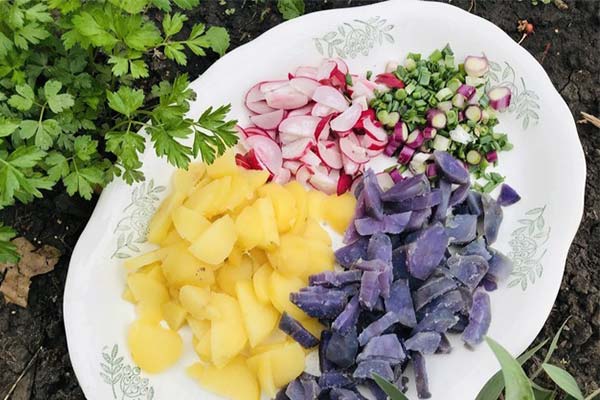 Purple potato salad