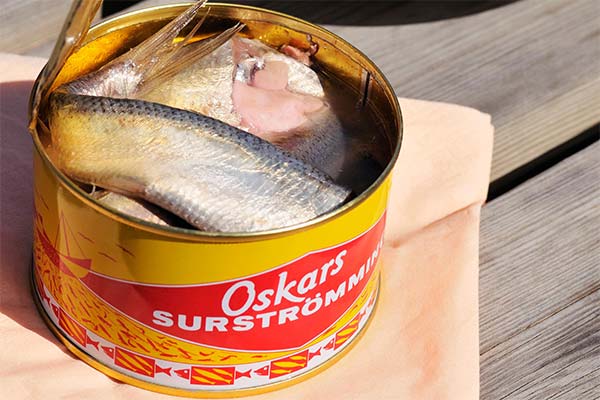 Surströmming