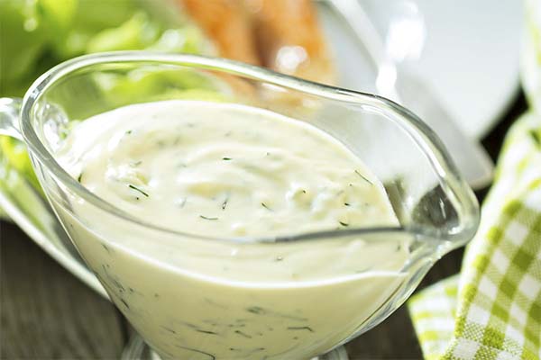 Sour cream-yogurt sauce