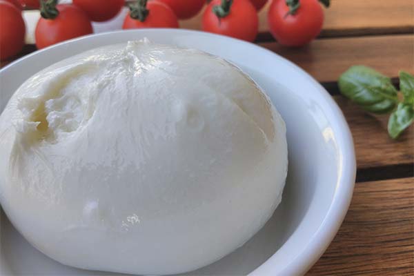 Burrata sūris