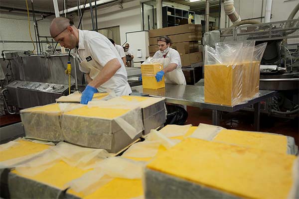 Tehnologia de fabricare a brânzei Cheddar