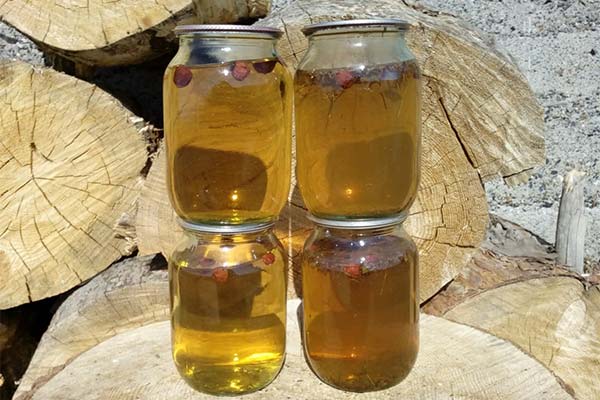 Birch sap with rosehip