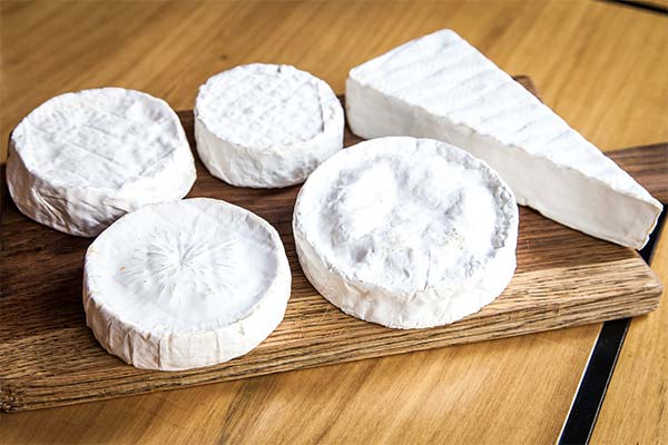 Kāda ir atšķirība starp brie un camembert?