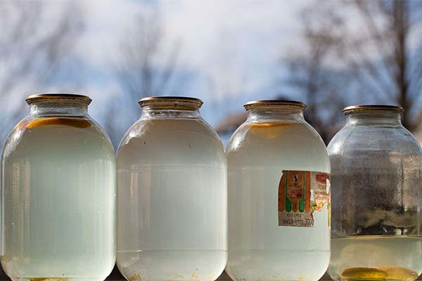 Storing birch sap