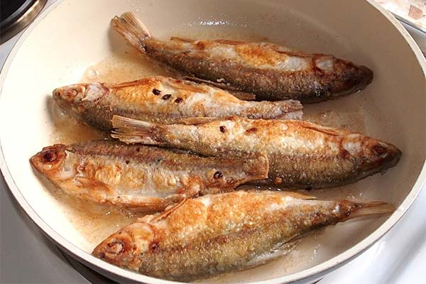 How to cook burbot