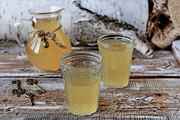 Birch Sap Kvass