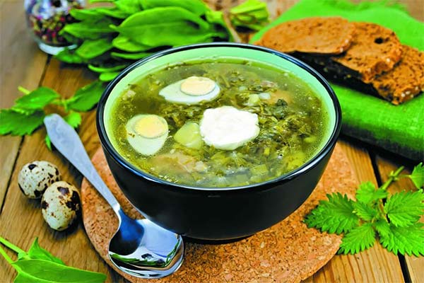 Green borscht with sorrel