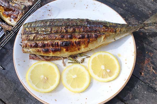 Grilled cheek salmon