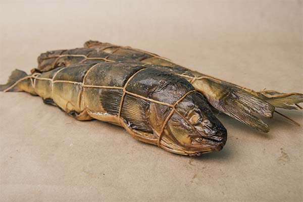 How to salt burbot