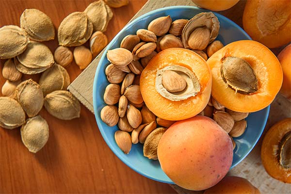 Stones of dried apricots