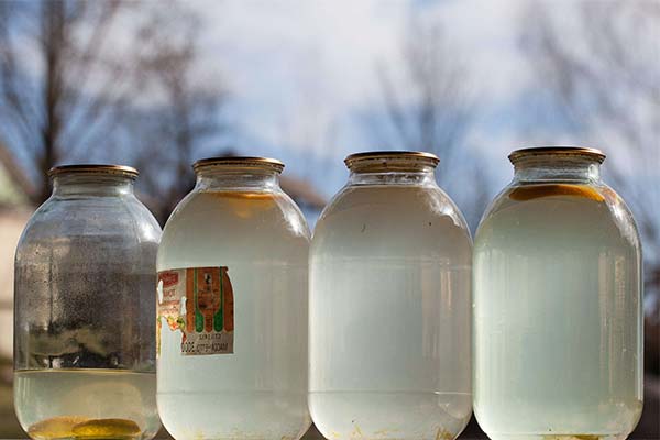 How to Store Birch Sap