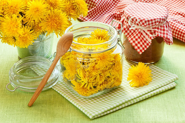 Dandelion jam nang hindi nagluluto