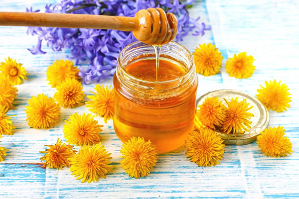 Dandelion jam (honey) sa gamot